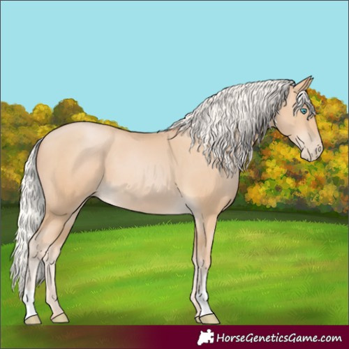 Horse Color:Silver Buckskin Pearl