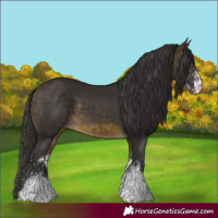 Horse Color:White Spotted Buckskin