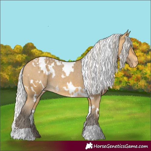Horse Color:White Spotted Silver Buckskin Varnish Rabicano
