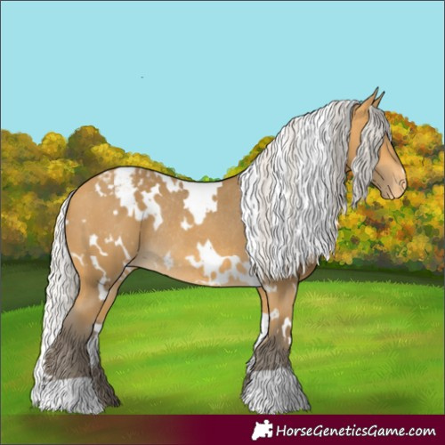 Horse Color:White Spotted Silver Buckskin Appaloosa Rabicano 