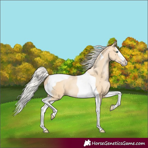 Horse Color:Silver Smoky Black Pearl Splash Tobiano 