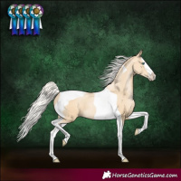 Horse Color:Silver Smoky Black Pearl Splash Tobiano