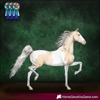 Horse Color:Silver Smoky Black Pearl Splash Tobiano