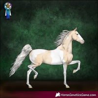 Horse Color:Silver Smoky Black Pearl Splash Tobiano