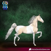 Horse Color:Silver Smoky Black Pearl Splash Tobiano