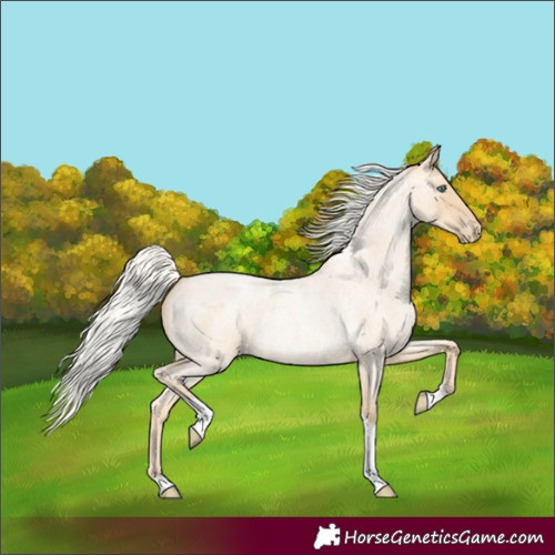 Horse Color:Silver Smoky Blue Roan Pearl Tobiano
