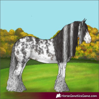 Horse Color:Smoky Black Sabino