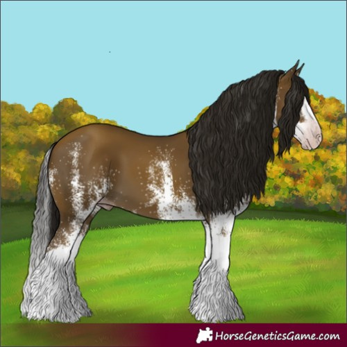 Horse Color:Gray White Spotted Classic Cream Champagne Splash 