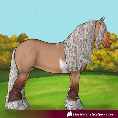 Horse Color:Silver Bay Dun Tobiano 