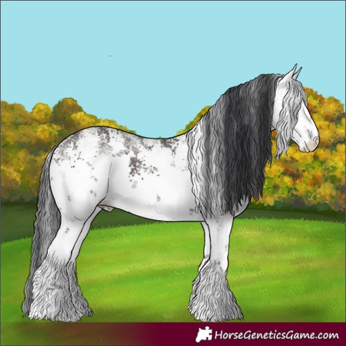 Horse Color:White Spotted Grullo Sabino 