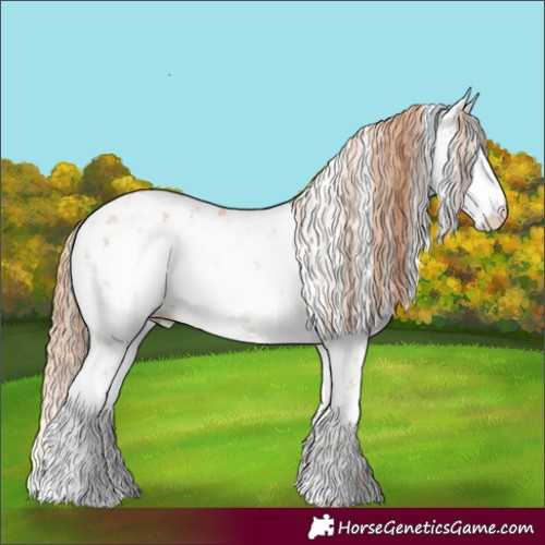 Horse Color:White Spotted Smoky Black Pearl Sabino Appaloosa 