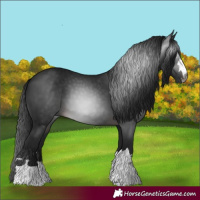 Horse Color:Gray Brown 