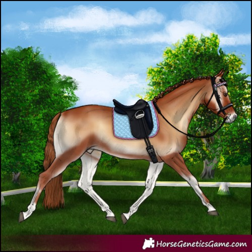 Horse Color:Red Onyx