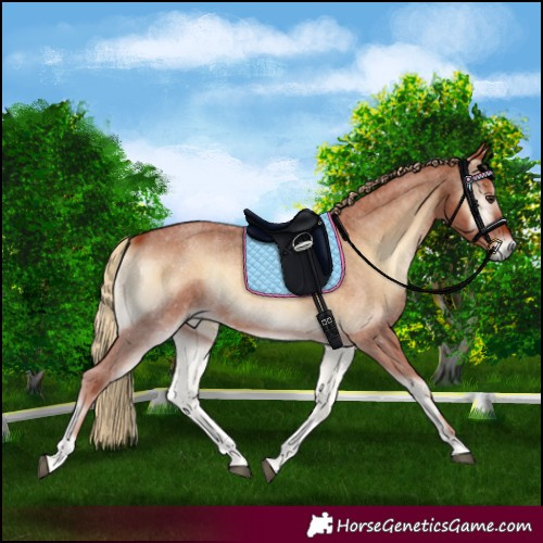 Horse Color:Red Onyx Roan