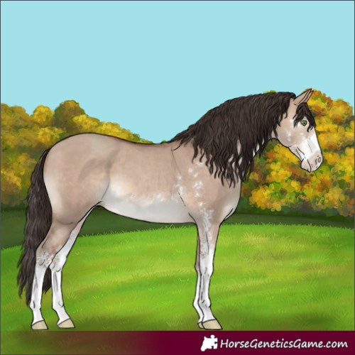 Horse Color:Sable Champagne Dun Sabino 