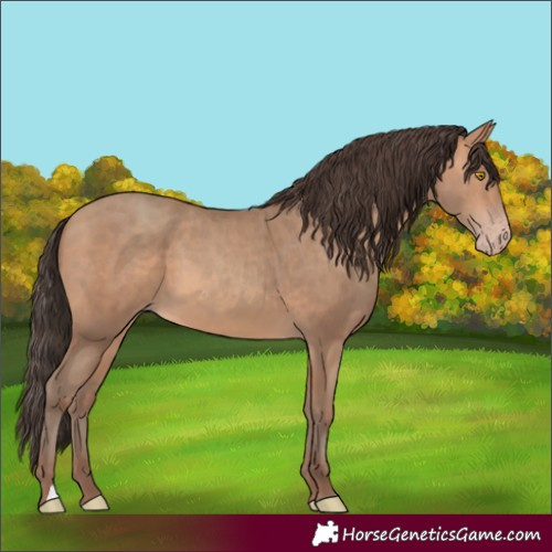 Horse Color:Amber Champagne 