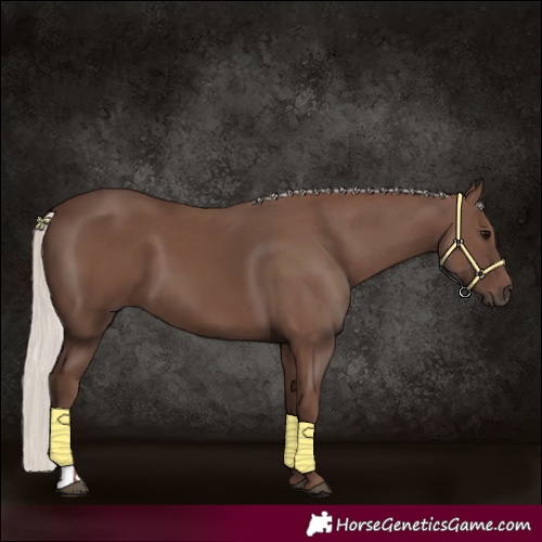 Horse Color:Silver Black 