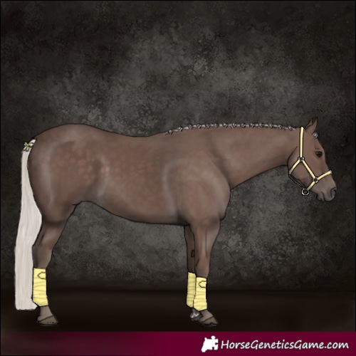 Horse Color:Silver Black
