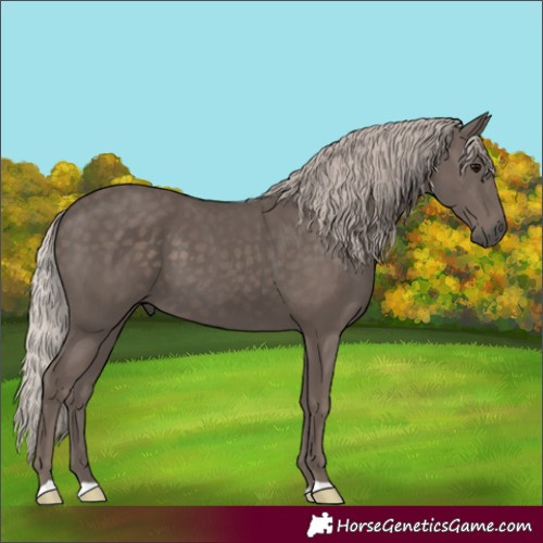 Horse Color:Silver Black