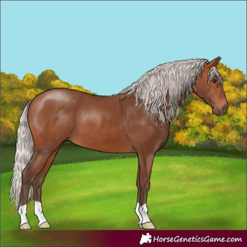 Horse Color:Silver Brown 