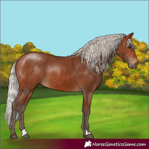Horse Color:Silver Brown 