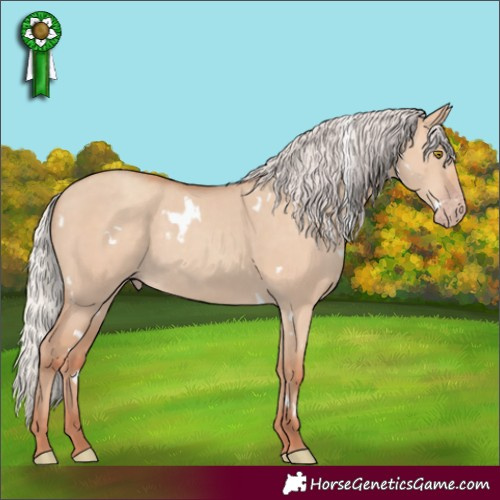 Horse Color:White Spotted Silver Classic Champagne Dun 