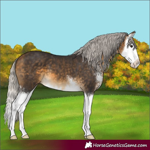 Horse Color:Silver Buckskin Sabino Splash