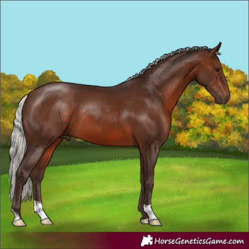 Horse Color:Silver Brown 