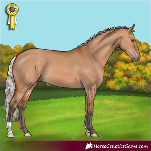 Horse Color:Silver Bay Dun 