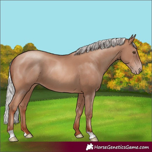 Horse Color:Silver Classic Champagne 