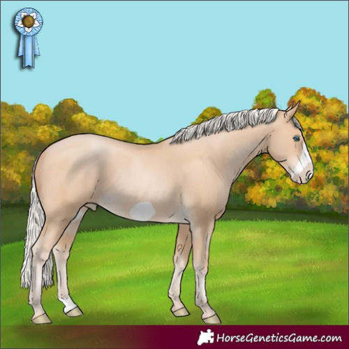 Horse Color:Silver Buckskin Pearl Frame Rabicano 