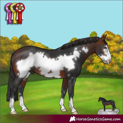 Horse Color:Brown Frame