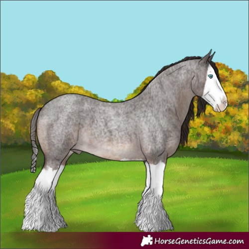 Horse Color:Liver Red Roan Splash 