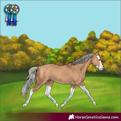 Horse Color:Silver Bay Dun Splash Rabicano 