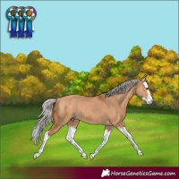 Horse Color:Silver Bay Dun Splash Rabicano