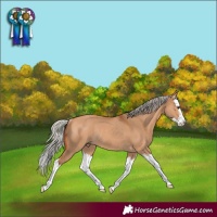 Horse Color:Silver Bay Dun Splash Rabicano