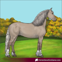 Horse Color:Unknown 