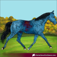 Horse Color:ERROR: UNKNOWN ANOMALY