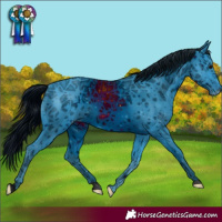 Horse Color:ERROR: UNKNOWN ANOMALY