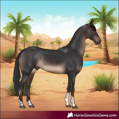 Horse Color:Brown Tobiano 