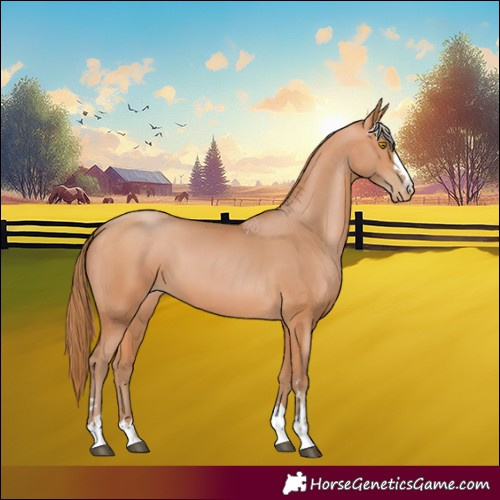 Horse Color:Bay Pearl 