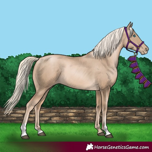 Horse Color:Chocolate Palomino 