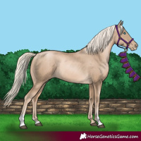 Horse Color:Chocolate Palomino