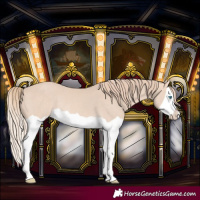 Horse Color:Perlino Splash Rabicano 