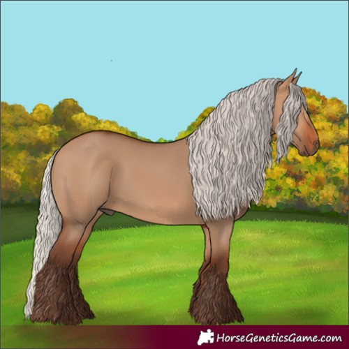 Horse Color:Silver Bay Dun 