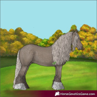 Horse Color:Unknown 