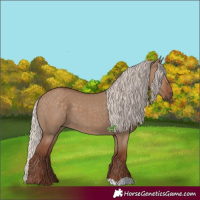 Horse Color:Unknown 