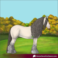 Horse Color:Amber Cream Champagne