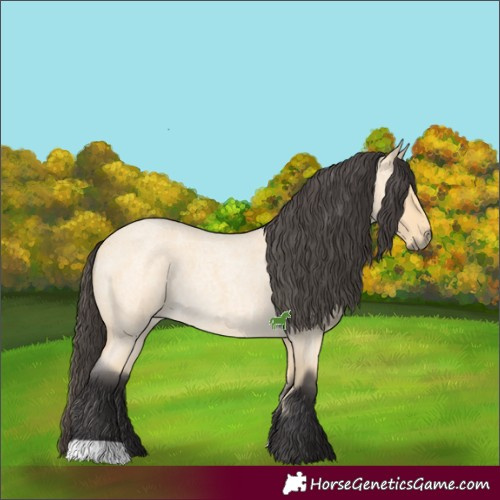 Horse Color:Buckskin Roan