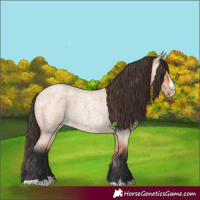 Horse Color:Bay Roan Dun Splash 